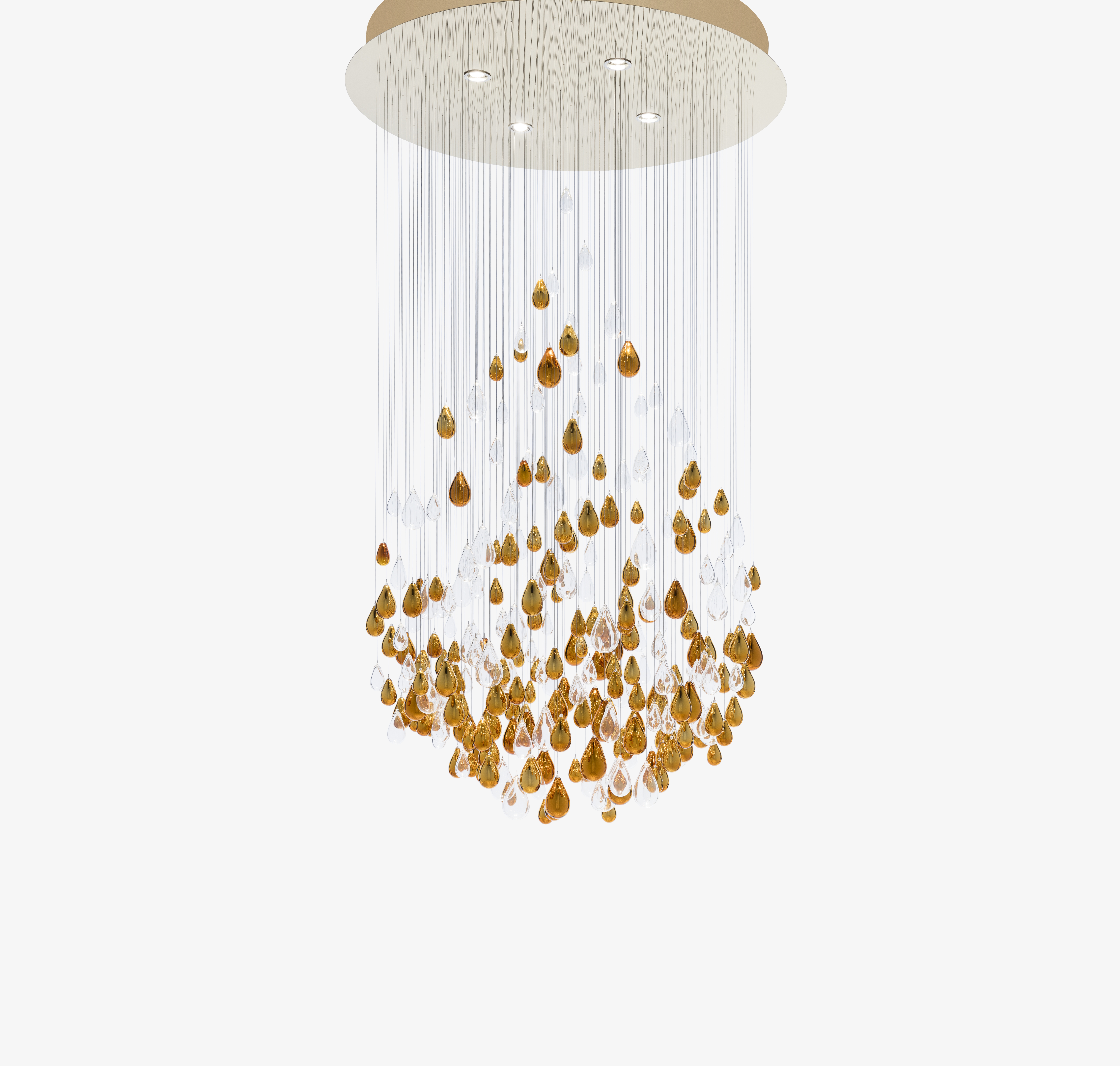 litmus/JAN SOLVIE ASSEMBLY